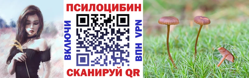 shop формула  Кунгур  Псилоцибиновые грибы Psilocybine cubensis 