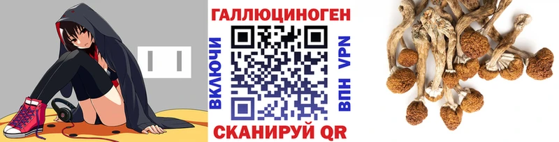 Псилоцибиновые грибы Magic Shrooms Кунгур